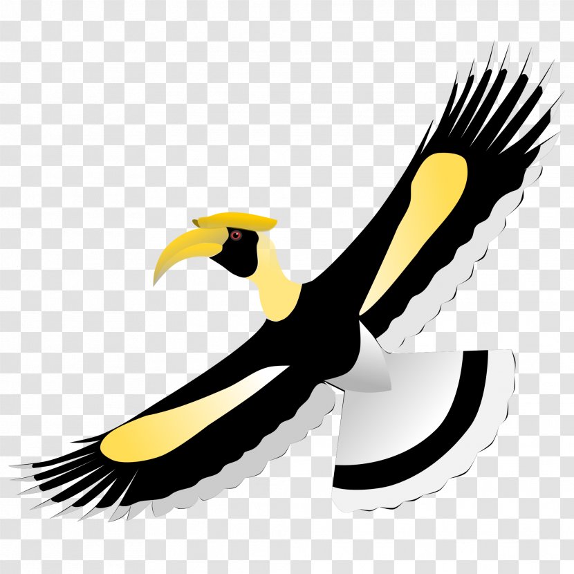 Hornbill Bird Clip Art - Beak Transparent PNG