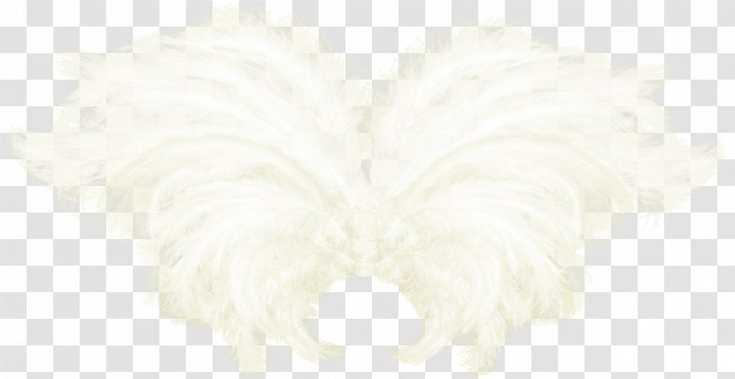 Angle - White - Pretty Wings Transparent PNG
