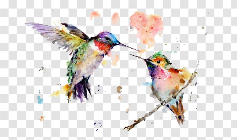 Hummingbird Watercolor Painting Drawing Art - Organism Transparent PNG