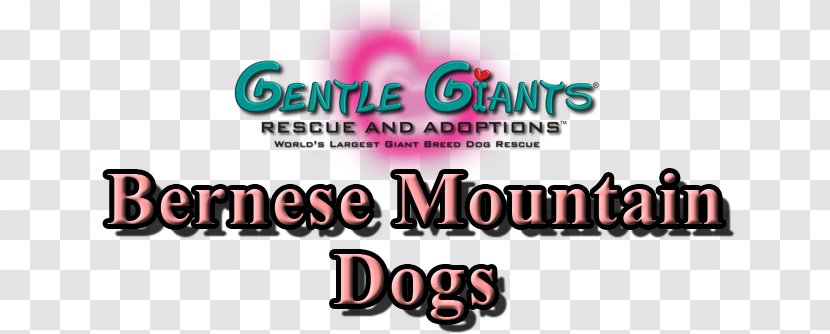 English Mastiff Bernese Mountain Dog Great Pyrenees Neapolitan Bandog - Coat Transparent PNG