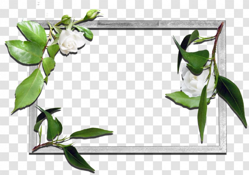 Picture Frames Desktop Wallpaper - Leaf - Flowers Frame Transparent PNG