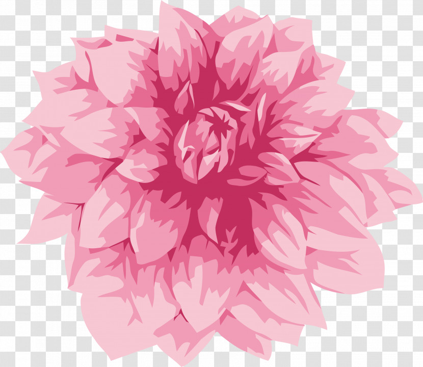 Floral Design Transparent PNG