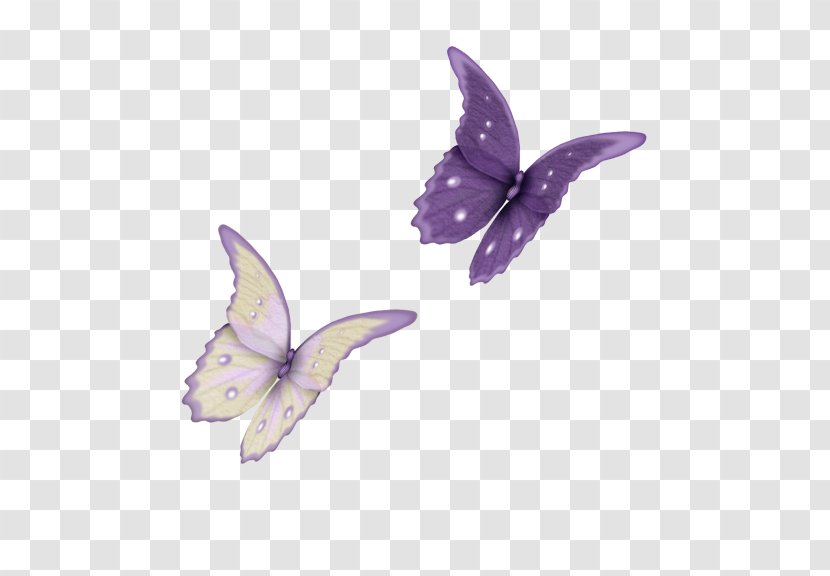 Butterfly Clip Art - Lilac Transparent PNG