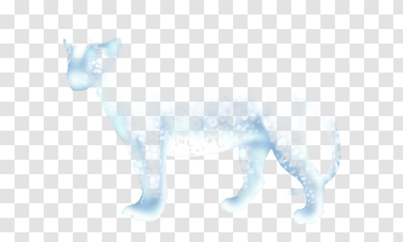 Cat Dog Canidae Snout Tail - Small To Medium Sized Cats Transparent PNG