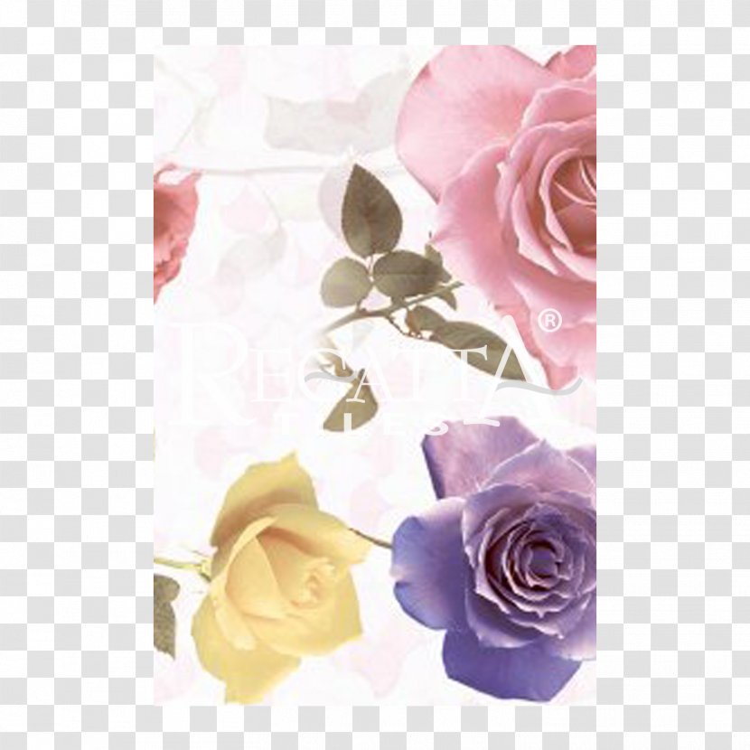Garden Roses Cabbage Rose Damask Flower バラ百句 Transparent PNG