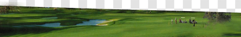 Water Resources Lawn Ecosystem Land Lot Energy - Golf Course Transparent PNG