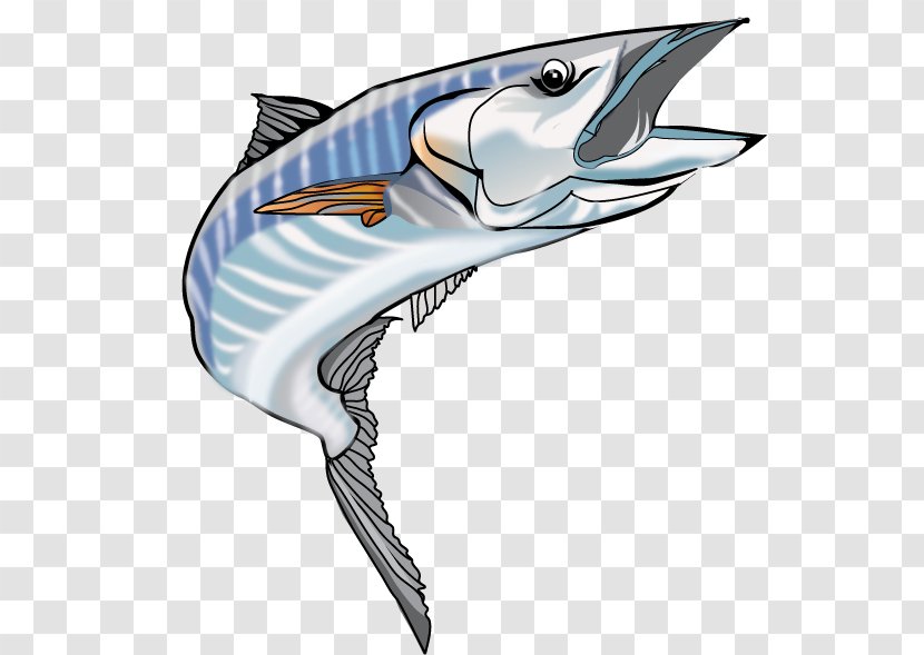 Wahoo Clip Art - Seafood - Stripped Transparent PNG