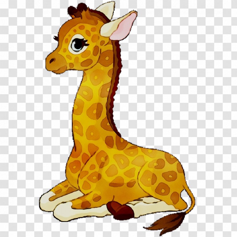 Northern Giraffe Masai Illustration Royalty-free Image - Snout - Terrestrial Animal Transparent PNG