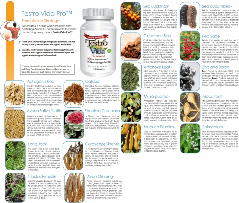 Dietary Supplement The Delgado Protocol For Health Testosterone Life Extension - Hospital Transparent PNG