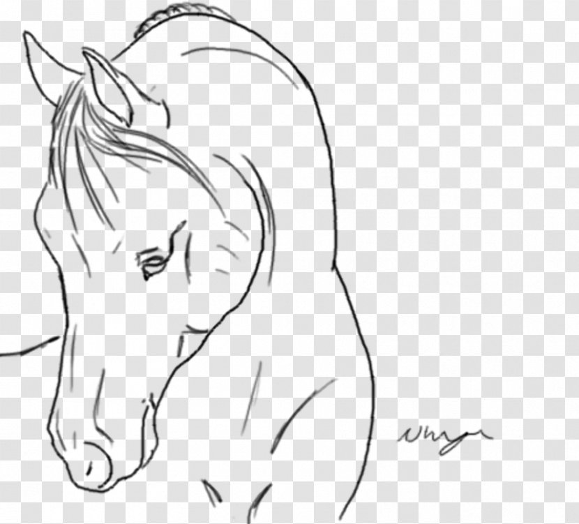 Horse Ear Drawing Line Art Sketch - Frame - Arabian Head Transparent PNG