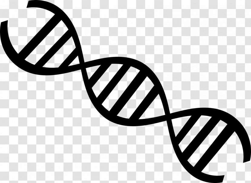 DNA Profiling Nucleic Acid Double Helix Vector Paternity Testing - Monochrome Transparent PNG