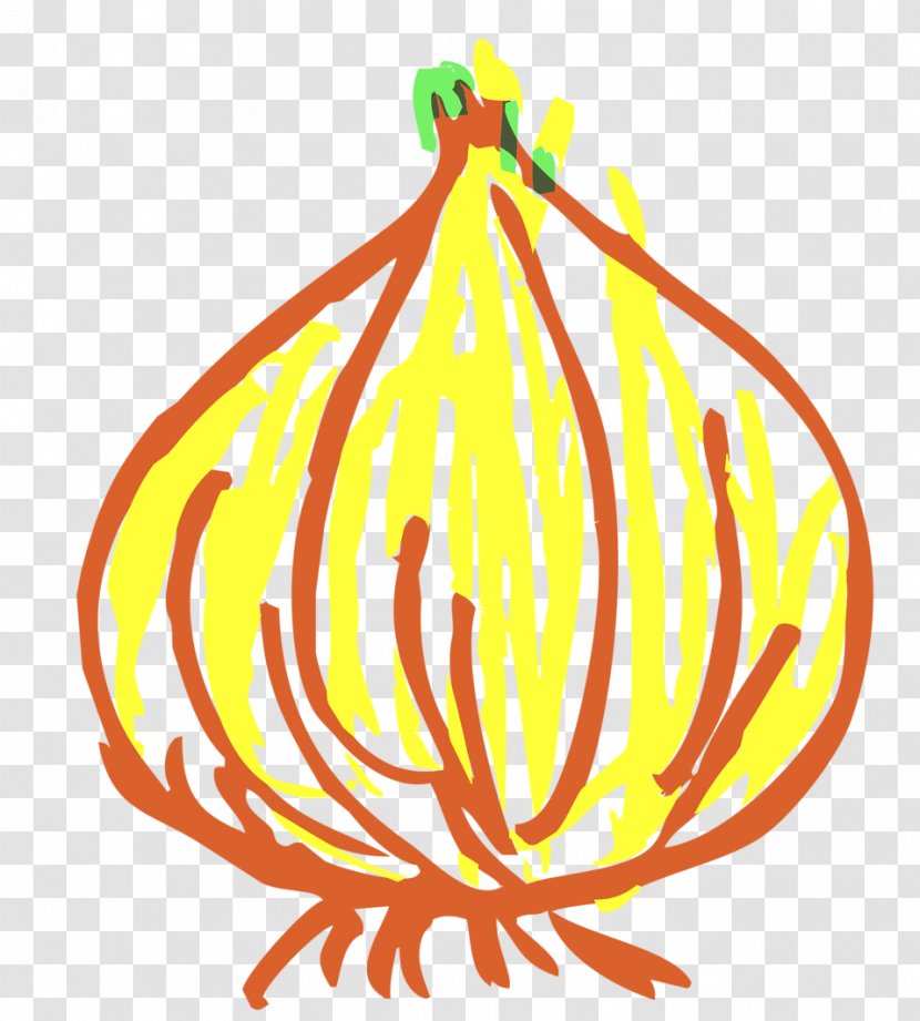 Onion Clip Art - Vidalia Transparent PNG