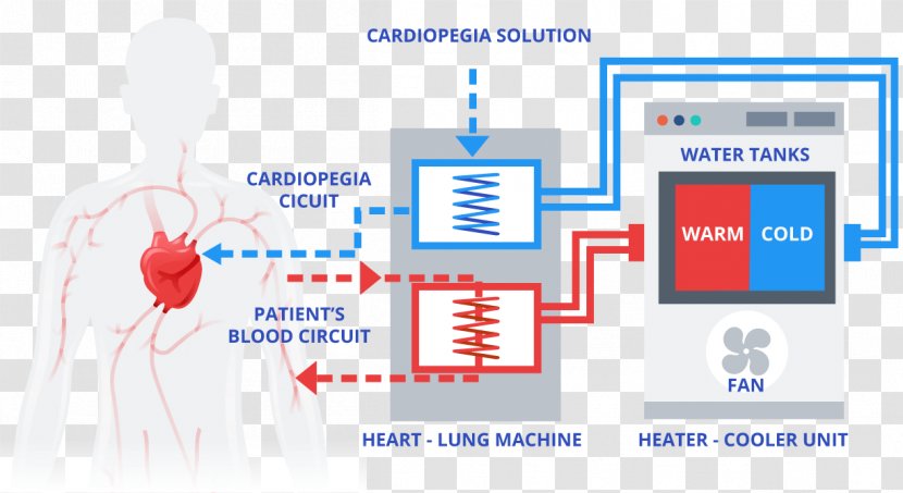 Heater Cooler Innovation Service - Tree - Frame Transparent PNG