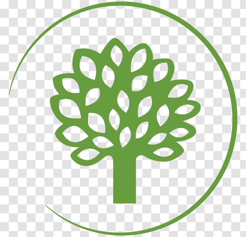 3 Romashki Tree Autograph Foliages Appliqué - Organism Transparent PNG