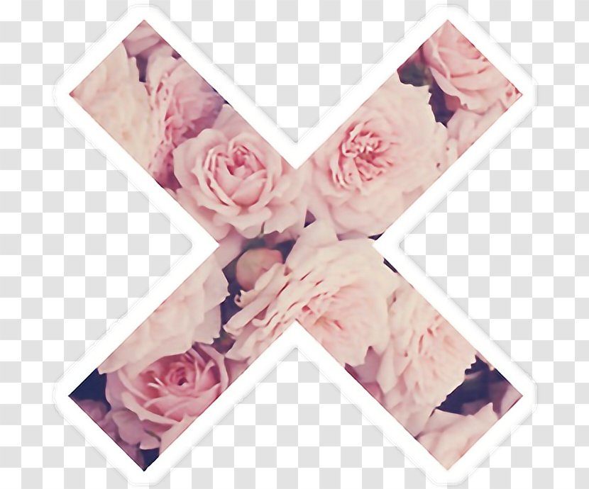 Desktop Wallpaper Rose Pink Flowers - Petal Transparent PNG