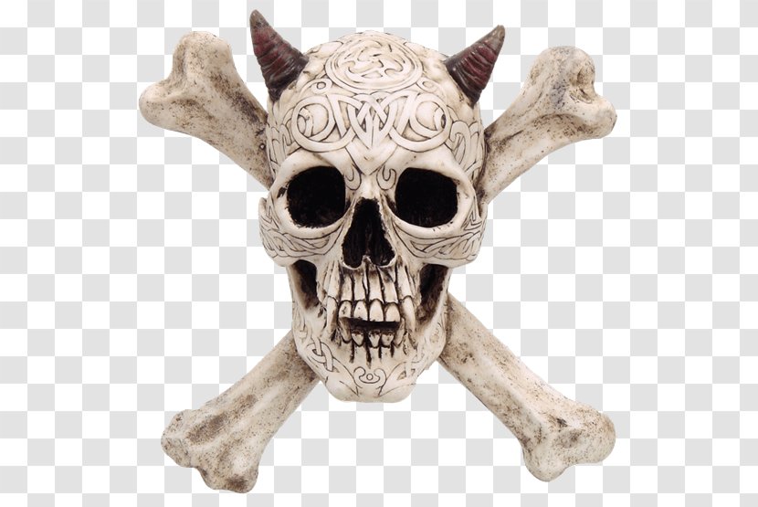 Skull And Crossbones Horn Animal Skulls - Joint Transparent PNG