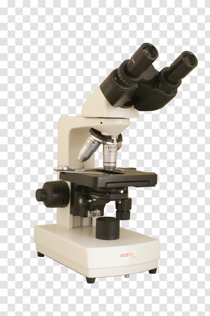 Optical Microscope Light Binoculars Microscopio Compuesto - Binocular Transparent PNG