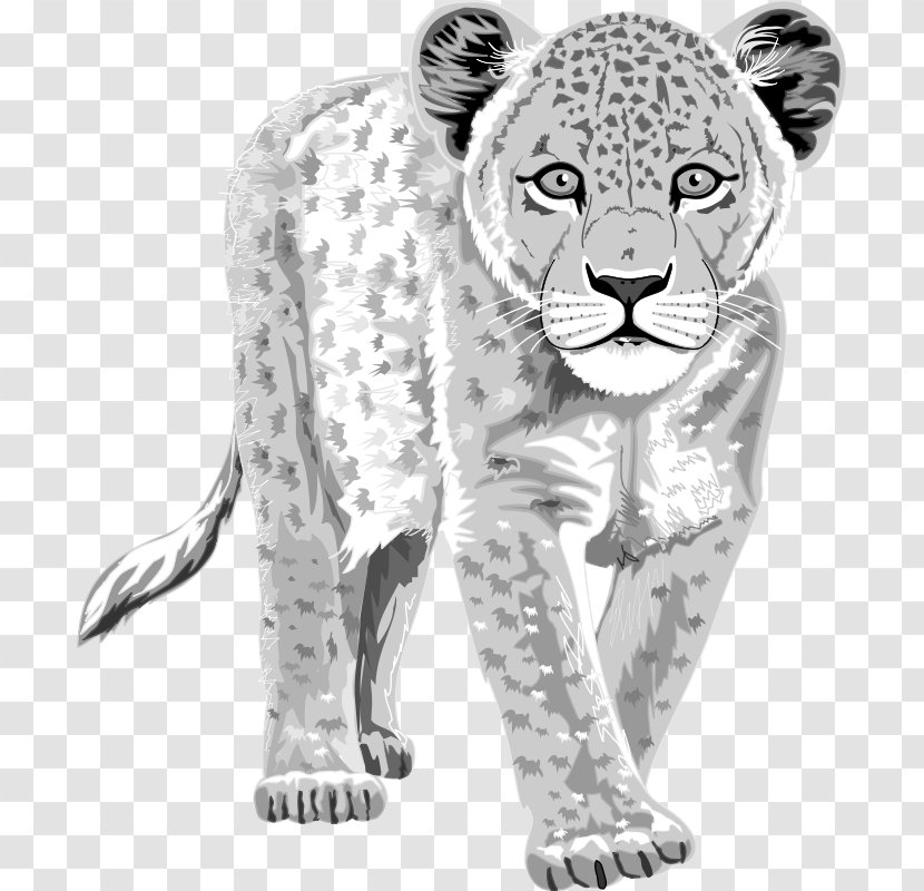 Snow Leopard Tiger Clip Art - Monochrome Transparent PNG