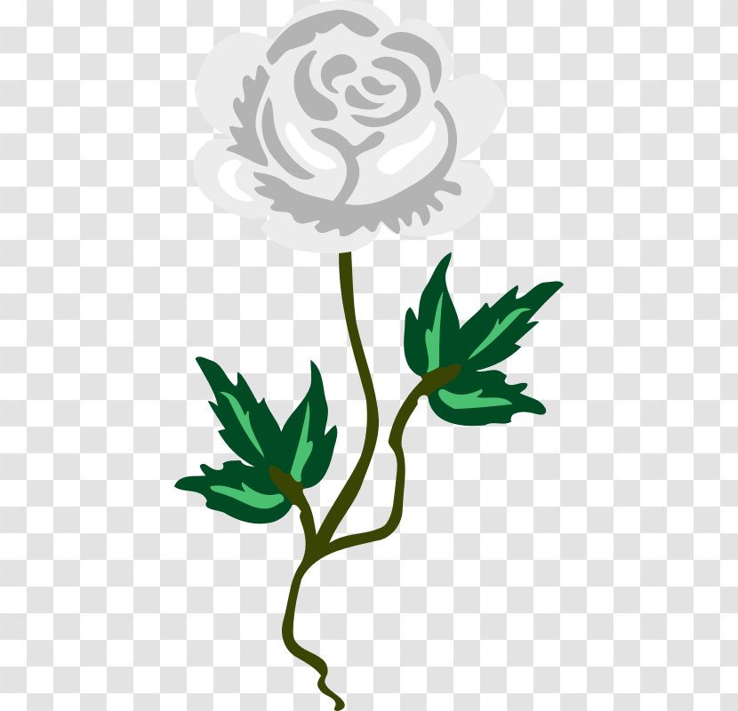 Floral Design Garden Roses Flower Tulip - Plant Stem - White Rose Graphic Fairy Transparent PNG