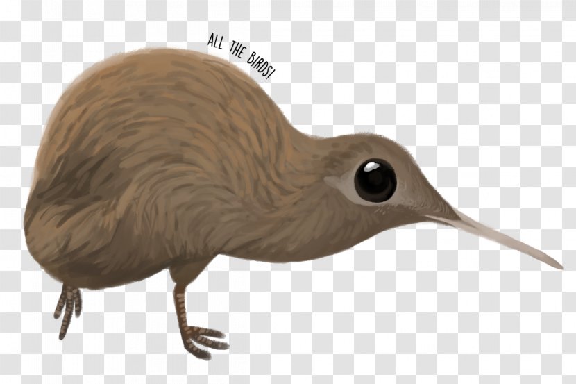 Goose Cygnini Duck Bird Beak - Kiwi Transparent PNG