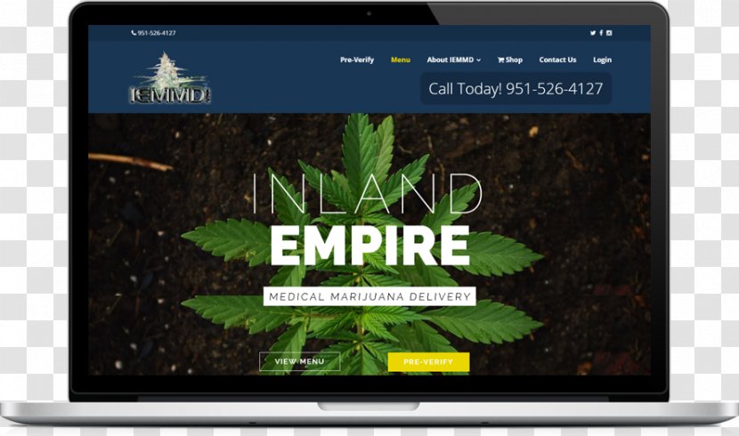 Medical Cannabis Shop Display Device WordPress - Plant Transparent PNG