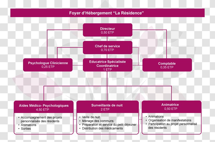 Corporate Governance Organizational Chart Management Business Plan - Diagram Transparent PNG