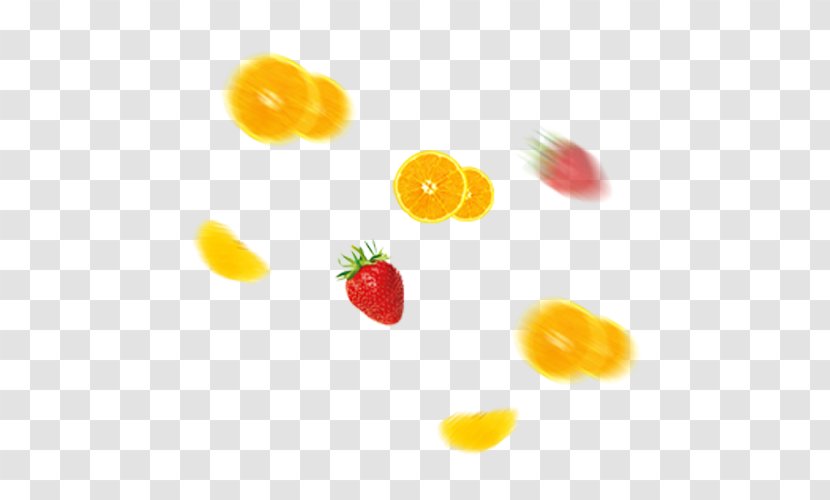 Orange Fruit Auglis - Colorful Rain Transparent PNG