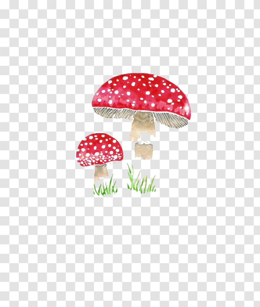 Amanita Muscaria Mushroom Fungus Euclidean Vector - Red Transparent PNG