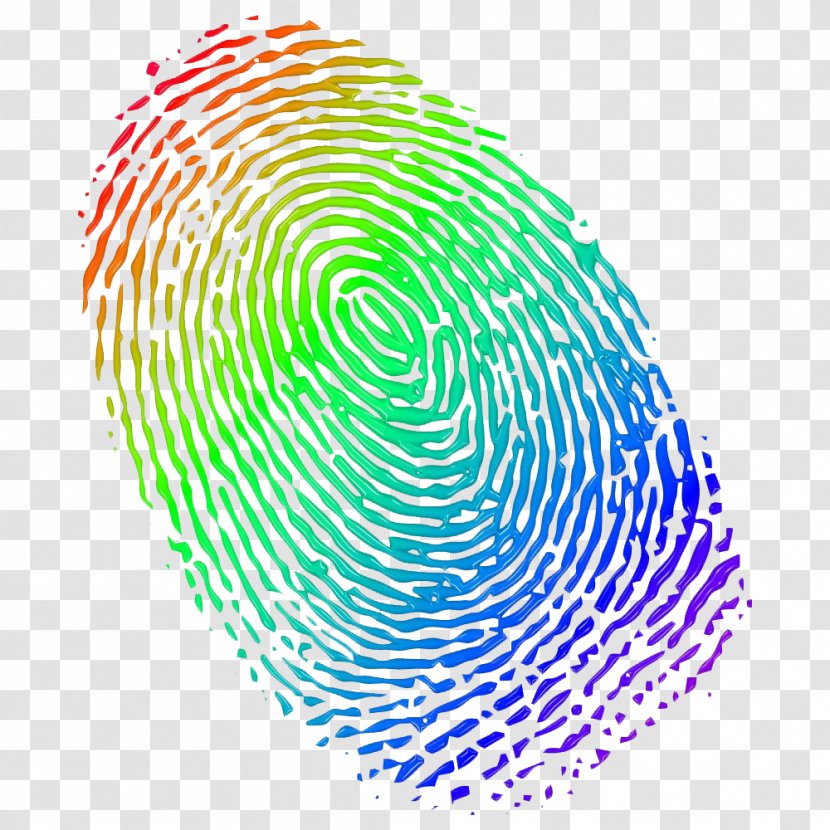 Automated Fingerprint Identification Stock Photography Clip Art - Thumb - Analysis Transparent PNG