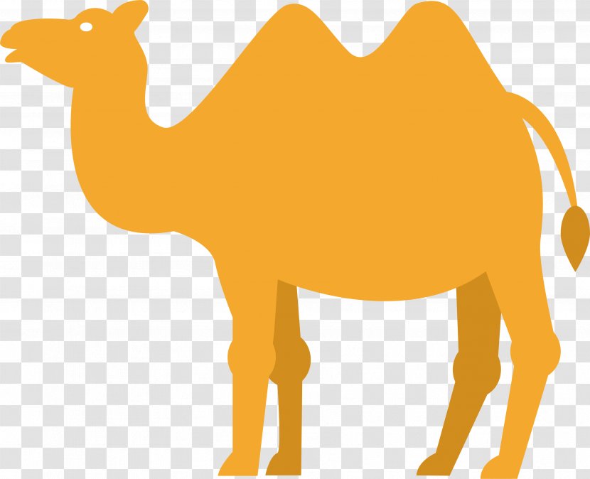 Dromedary Desert Clip Art - Terrestrial Animal - Camel In The Transparent PNG