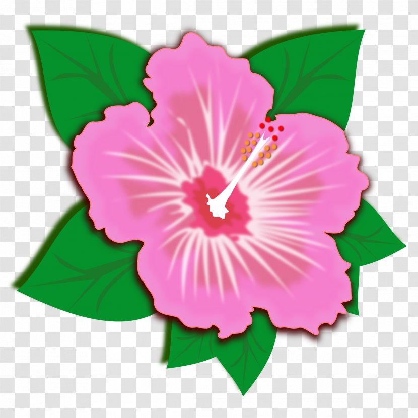 Hibiscus Clip Art - Flowering Plant - Sprin Transparent PNG