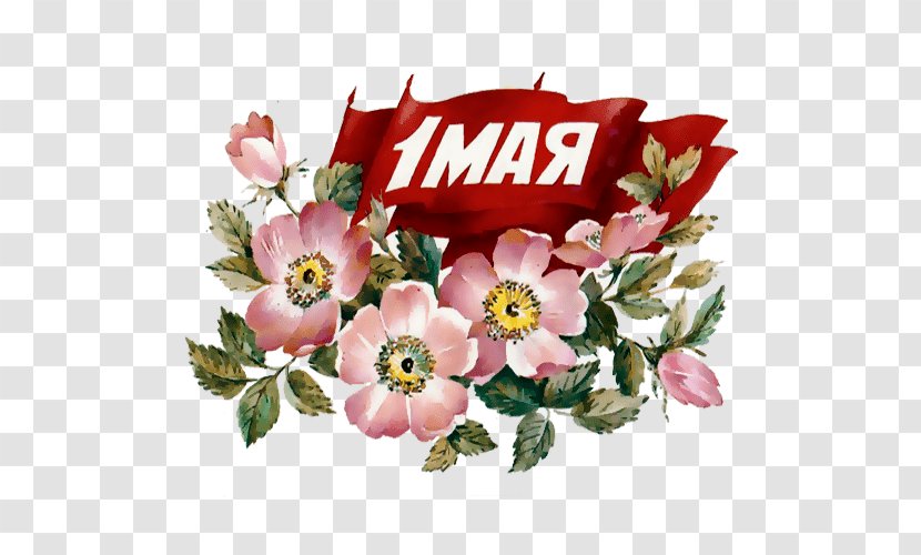 Floral Design Holiday International Workers' Day Cut Flowers Ansichtkaart - Flowering Plant - Flower Bouquet Transparent PNG