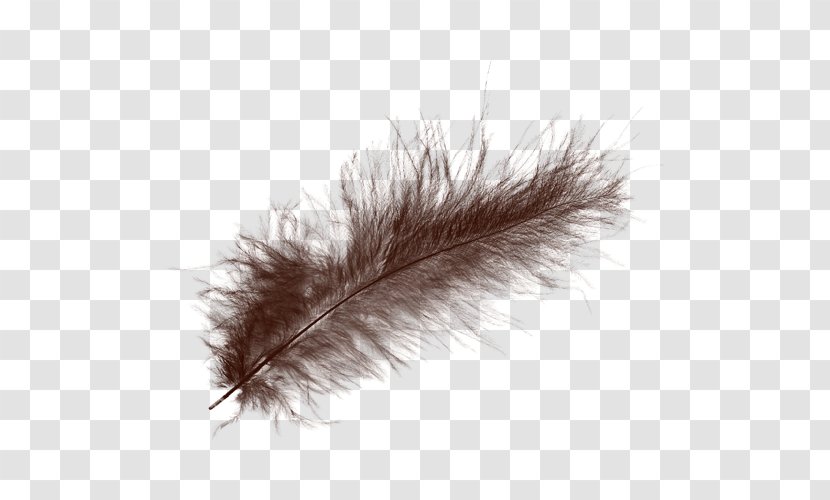 White Feather Raster Graphics - Black Transparent PNG