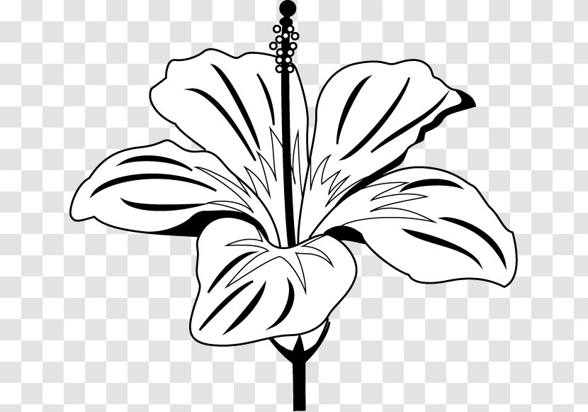 Rosemallows Drawing ハイビスカス Clip Art - Plant - Flower Transparent PNG