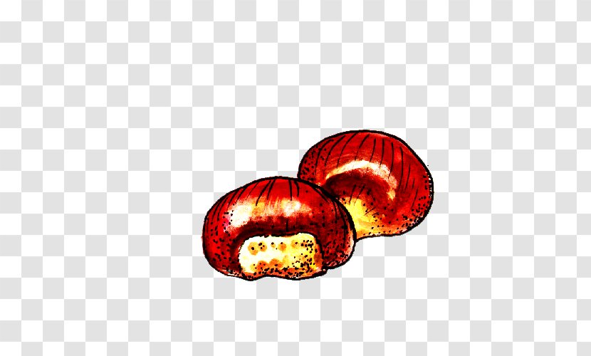 Fungus Mushroom - Hand Painted Mushrooms Transparent PNG