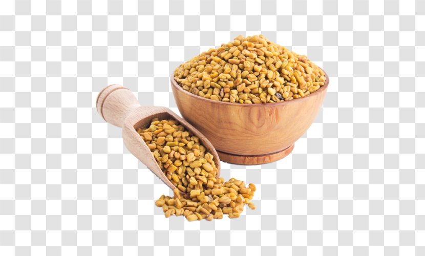 Fenugreek Coriander Spice Indian Cuisine Herb - Lentil Transparent PNG