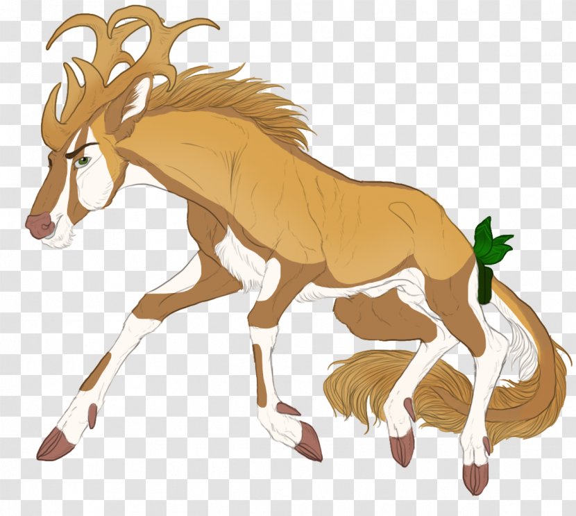 Reindeer Pony Mustang Drawing - Organism Transparent PNG
