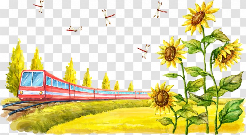 Common Sunflower Cartoon Illustration - Art - Red Train And Sunflowers Transparent PNG