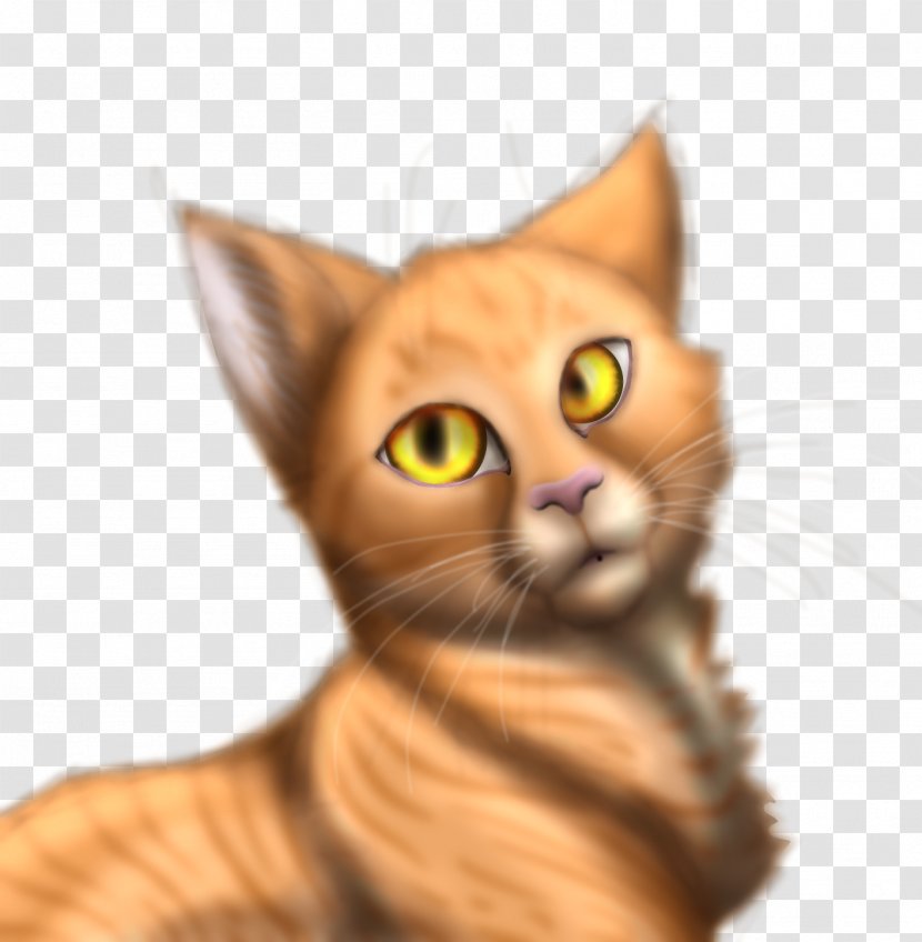 Tabby Cat Kitten Whiskers Domestic Short-haired - Simba Transparent PNG