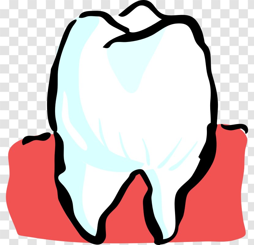 Human Tooth Pediatric Dentistry Clip Art - Snout - Decay Transparent PNG