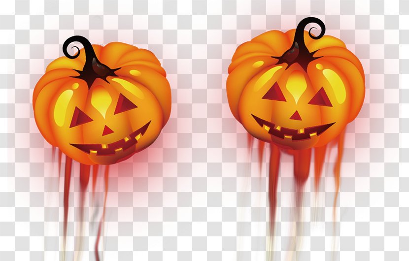 Pumpkin Halloween Jack-o-lantern - Jackolantern - Head Transparent PNG