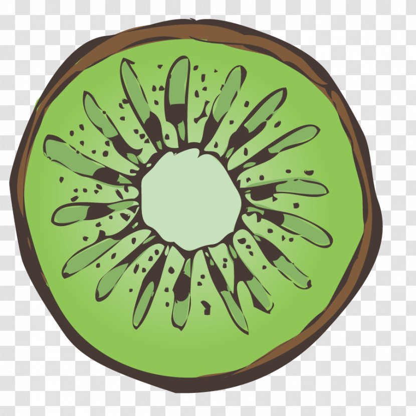 Smoothie - Vector Kiwi Fruit Transparent PNG