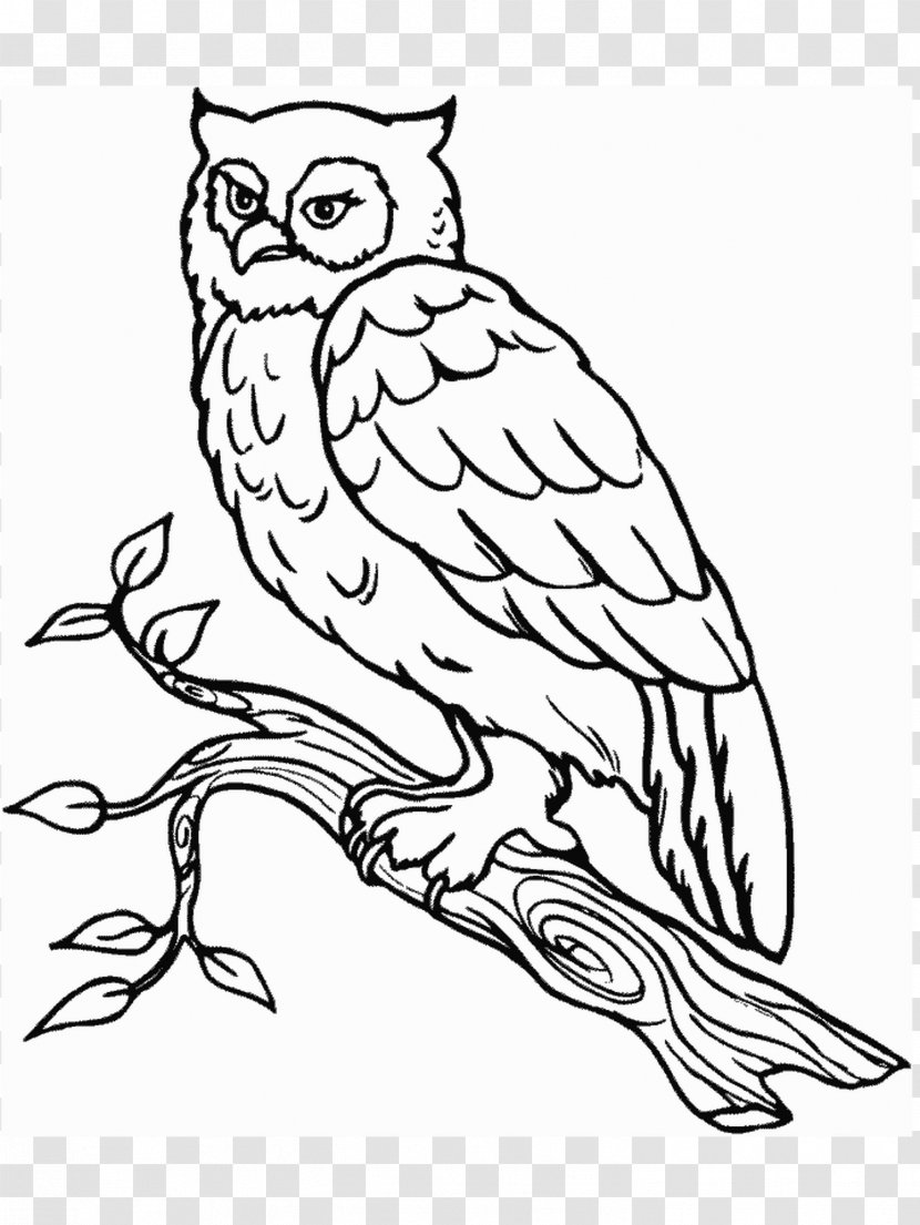 Snowy Owl Coloring Book Bird Barn - Art Transparent PNG