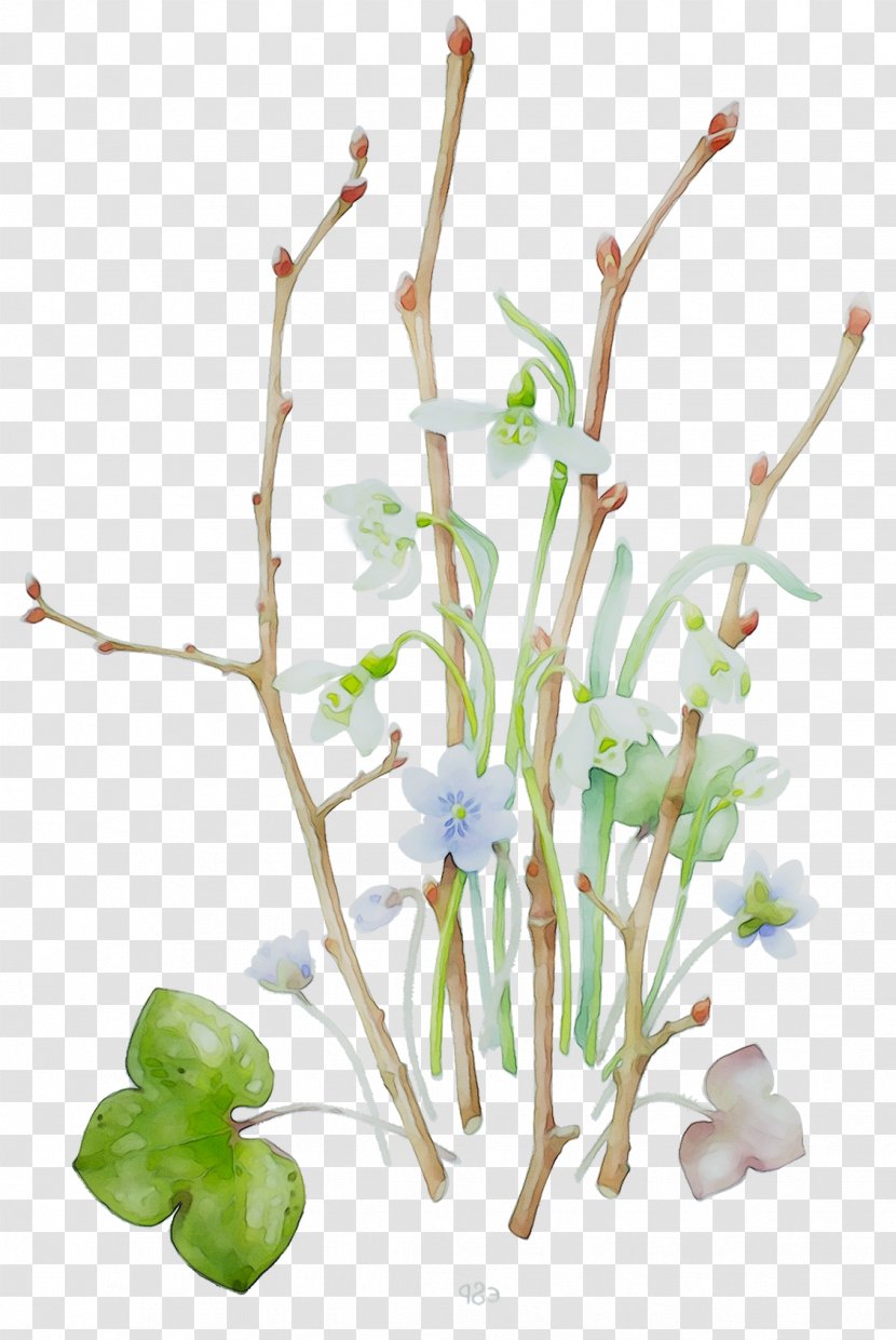 Twig Plant Stem Floral Design Aquarium - Plants Transparent PNG