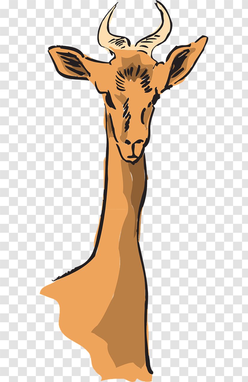 Antelope Giraffe Deer Impala Clip Art - Tail - Longhorn Transparent PNG