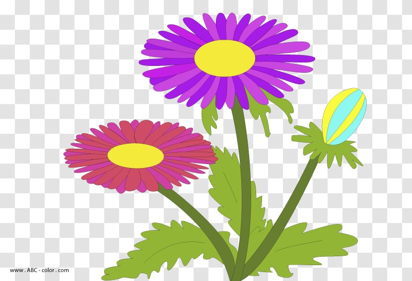 Drawing Raster Graphics Royalty-free Clip Art - Annual Plant - Daisy Transparent PNG
