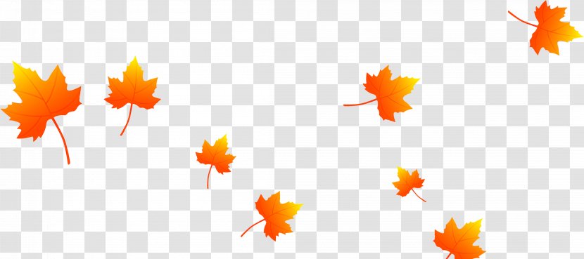 Leaf Download - Maple - Beautiful Leaves Falling Transparent PNG