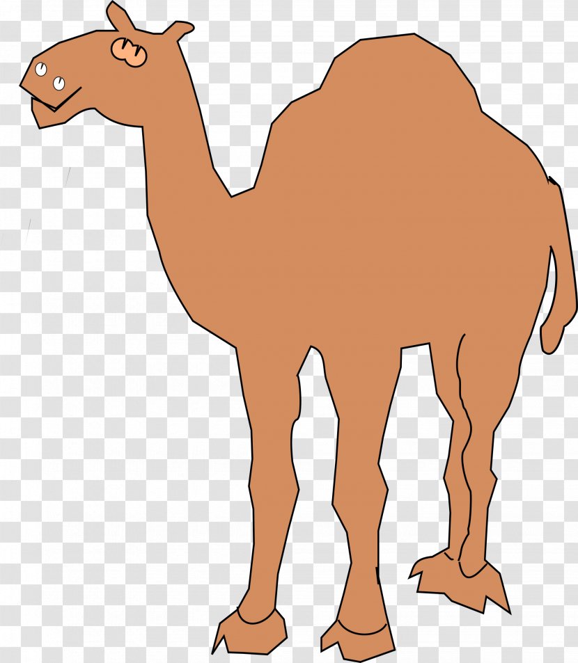 Dromedary Clip Art - Camel Transparent PNG