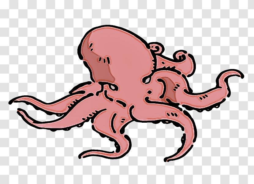 Octopus Cartoon Line Art Giant Pacific Octopus Watercolor Painting Transparent PNG