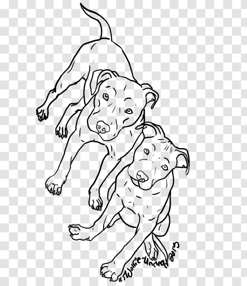 Line Art Dog Breed Color - Cartoon - Pitbull Transparent PNG